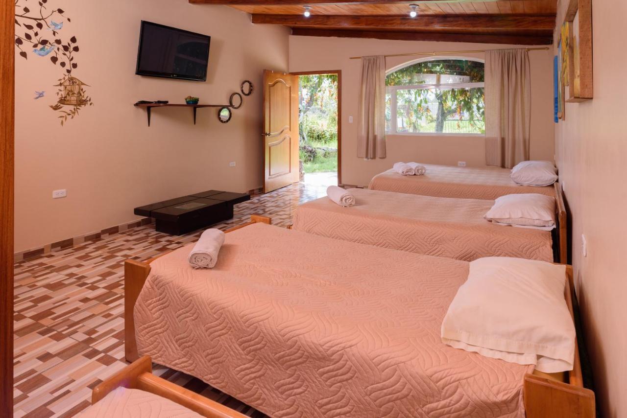 Casa Elalu Apartment Quito Bagian luar foto