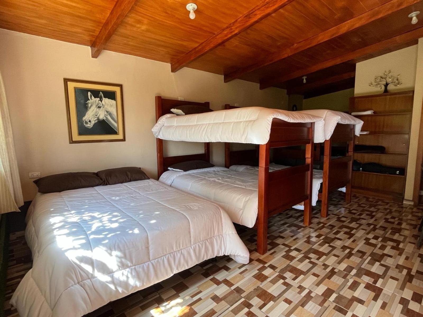 Casa Elalu Apartment Quito Bagian luar foto